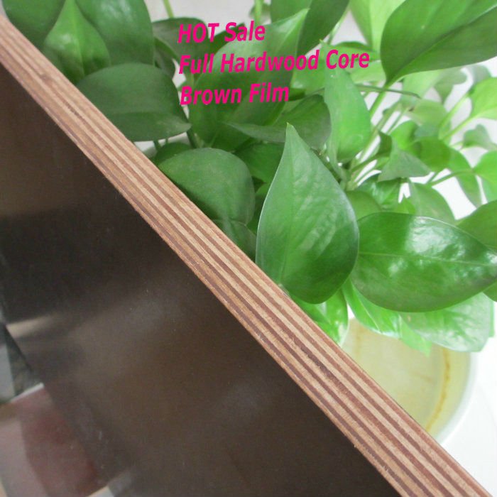20mm Film Faced Plywood