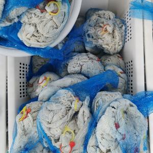 Quality 24-26 Mm Natural Sheep Casing For Sausage 2 Years Shelf Life wholesale