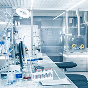 Lab