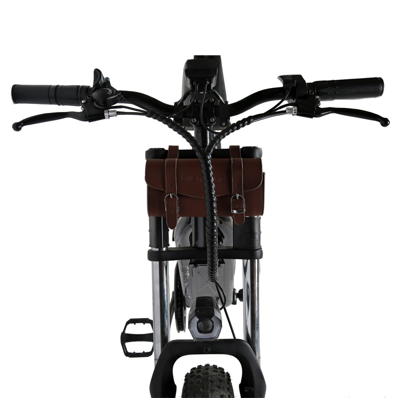 DOMANCA 750W High Speed Dirt Bike Off-road Fat Tire Ebike Customized E Bike Motorcycle
