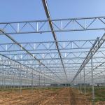 Multi-Span Agricultural Greenhouse for Growing Vegetable Fruits Flowers in Any