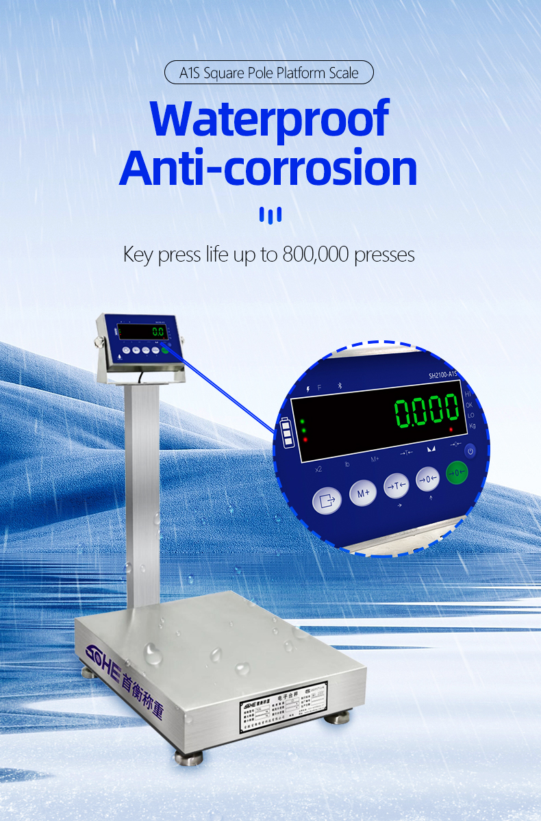 Power Supply 10.5V/1A 200KG Stainless Steel Scale for Seafood and Food Factories