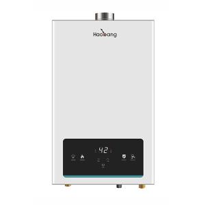 Quality 21KW 110V-220V Constant Temperature Gas Water Heater White 10L wholesale