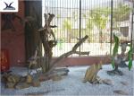 Indoor Museum Life Size Dinosaur Replicas , Sunproof Dinosaur Skeleton Replica