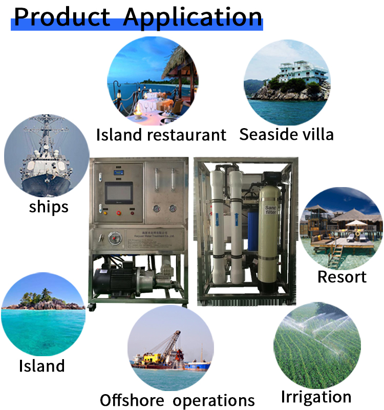 Salt Water Seawater RO Plant Semi controled With CNP Pump SGS Approved