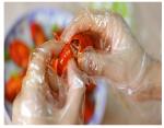 Latex Free Polythene Gloves Food Handling / Poly Food Service Gloves