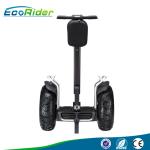 110-240V Two wheeled electric vehicle segway with 21 inch shock - absorber