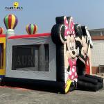 Cartoon Character Inflatable Adults Bouncy Castle Kids PVC Bouncy Castle