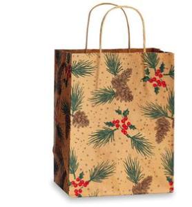 Quality Beautiful Christmas Gift Bags,Paper Bag free shipping wholesale