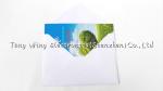 Beauty Musical Greeting Card / Invitation Card For Birthday , Christmas