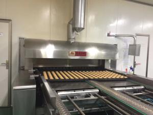 Quality Trays Returning Single Layer Slat Top Food Industry Conveyors wholesale