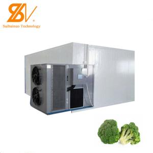 Quality Apricot Mango Tomato Banana Fruit And Vegetable Broccoli Carrot Drying Machine wholesale