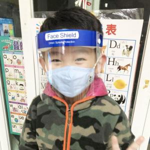 Quality Safety Face Shield Baffle Block Anti Droplet Dust Proof Protect Full Face Covering wholesale