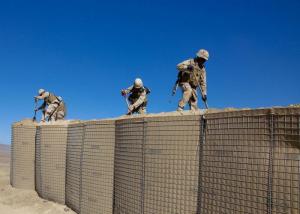 Quality Military Army Wall Zinc - Aluminum Coated Type Hesco Barrier Bastion Defensive Barriers For Flood wholesale
