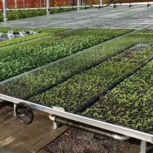 Quality Silver Custom Greenhouse Benches Movable Seedling Bed Rolling Breeding wholesale