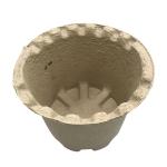 Sugarcane Bagasse Paper Molded Recycled Box Insert Trays Mold Pulp Packaging