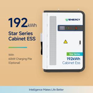 Quality 192kWh Solar Diesel Hybrid Energy Storage Cabinet With Cloud Security Warning wholesale