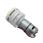 24V 12v dc Brushless Motor Micro Small Mattress Portable Motor Diaphragm high