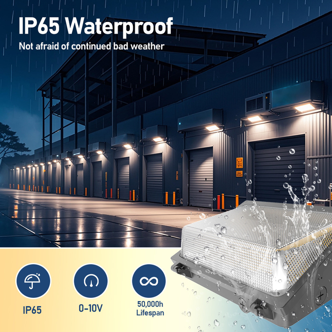 Customized Industrial Outdoor Wall Light Waterproof IP65 DLC Certified
