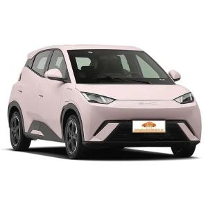Quality 2024 Byd Seagull EV Long Range High Speed Electric Car in Pink Color with 1500mm Weelbase wholesale