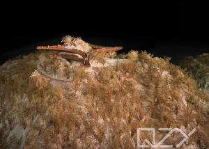 Quality Handcraft Scale Architectural Landscape Model Tanglang Mountain Park wholesale