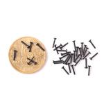 High Precision Stainless Steel Self-Drilling Micro Screw Use for Computer