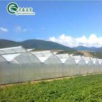 Greenhouse Aquaponics Hydroponic Growing System with Cooling and Ventilation