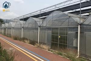 China Agricultural Multi Span Strawberry Green House Plastic Shed Tomato Tunnel Greenhouse on sale