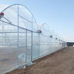 Farm Multi-span Tunnel Greenhouse Plastic Film For Agriculture