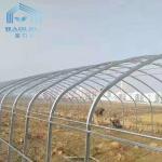 Fruit And Veggies PE Film Greenhouse Single Polyethylene Film Greenhouse