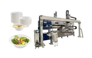 Quality Renewable Pulp Fiber Tableware Machine wholesale