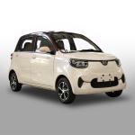 Right Hand Drive Hatchback Electric Cars Automatic RHD 115V Battery