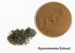 Food Grade Anti Tumor Herbal Gynostemma Extract Powder