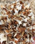 Sawdust Wood Shavings Press Packing Baler Machine, Shavings Packing Machine For