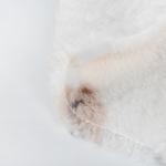 Soft 100% Polyester Jacquard Sherpa Fleece Fabric for Winter Clothing Knitted