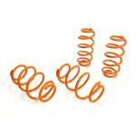 Customized Honda Fit Lowering Spring EY-SP-HO01 Anti Corrosion Lowering Springs