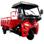 250cc Motorized Adult Tricycles Cargo Petrol Tanzania Motor Tricycle Manufacture
