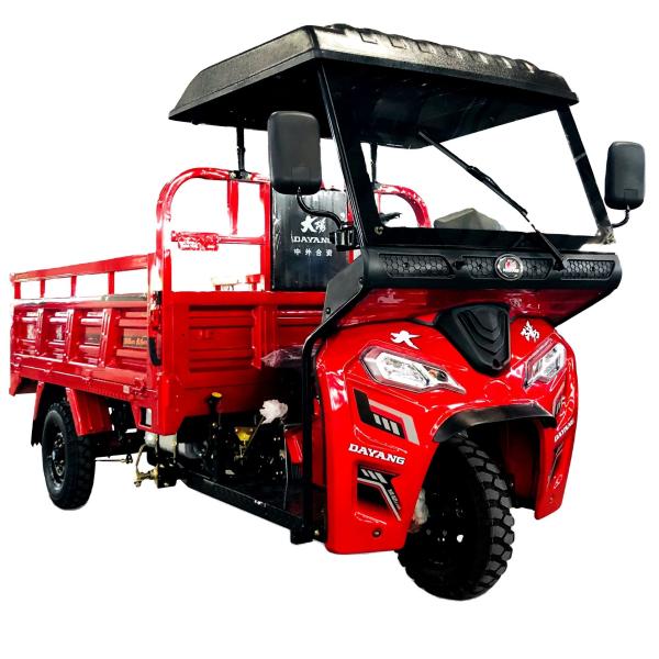 250cc Motorized Adult Tricycles Cargo Petrol Tanzania Motor Tricycle Manufacture
