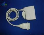 Breast 3MHz Linear Array Ultrasound Probe 60 Days Warranty
