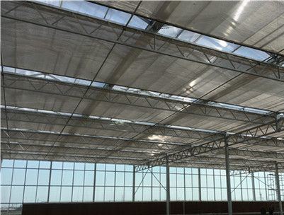 Customization Snow Vibrator Greenhouse for Tomato Planting