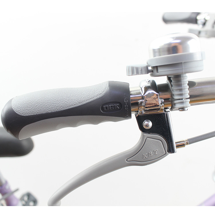 Alloy Rim Material City Bicycle For Customized And Performance