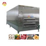 2000 KG Industrial Tunnel Freezer For Frozen Vegetables Fruits Shrimp Fish