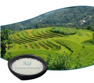 Quality Agriculture Grade Potassium Based Super Absorbent Polymer SAP wholesale