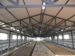 Durable Prefabricated Steel Framing Cow / Horse Systems With Flexible High Space