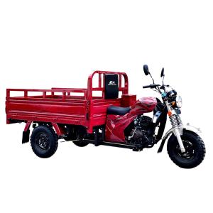 Quality DAYANG Prince 150CC/175CC/200CC Cargo Tricycle for Africa and Southeast Asia Market wholesale