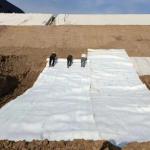 White Black Non-woven Needle Punched Geotextile PET PP For Road Highway Railway