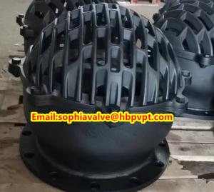 Quality EPDM resilient seal BS4504 cast iron foot valve wholesale