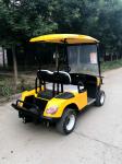 Spacious 2-Person Electric Golf Cart with LED Lights and Under Seat Storage