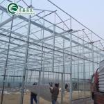 Multi-Span Agricultural Greenhouses Prefabricated Rain Shelter for Tomato