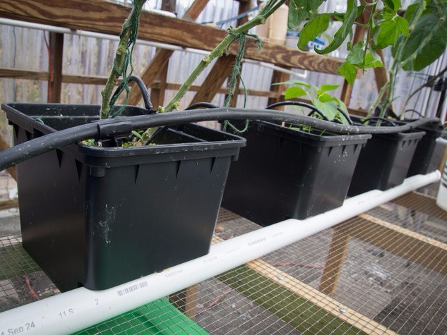 Industrial Greenhouse Hydroponic Vegetable Growing System with 11 liters Volume